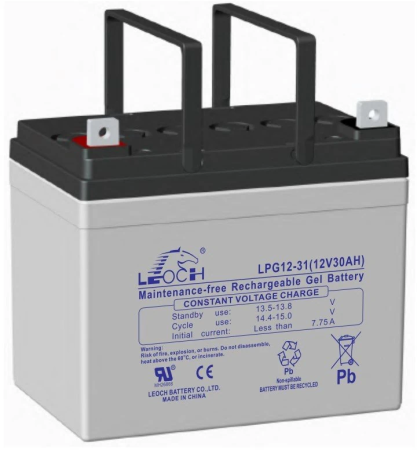 LEOCH LPG 12-31 LEOCH LPG 12-31